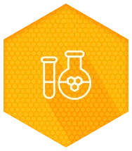 Ícone Consultoria para o Desenvolvimento da produção de mel