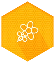 Ícone Implantação de Biofábricas de Abelhas