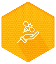 Ícone Diagnósticos Socioambientais com Comunidades