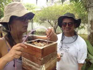 Foto com casal meliponicultores Rudyr Menezes e Antônio Monte, manuseando uma caixa de mel