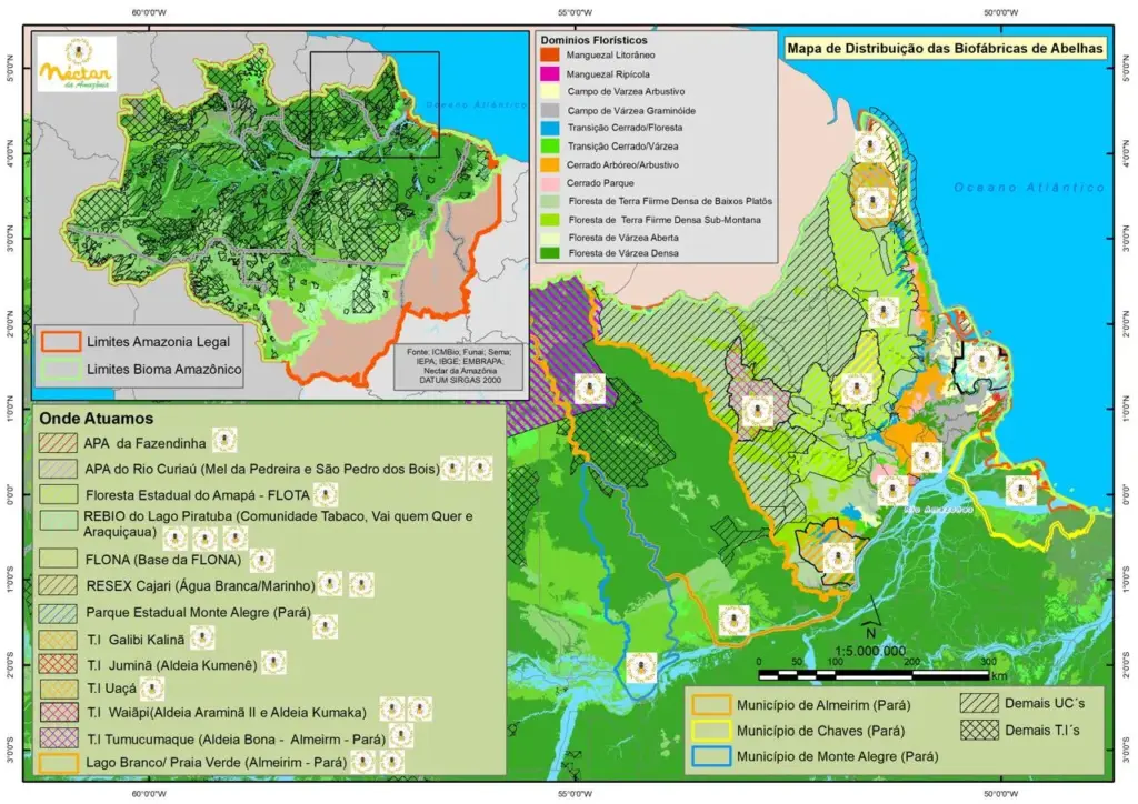 Mapa distribuição das biofábricas de abelhas - Estado do Amapá - Néctar da Amazônia Mapa distribuição das biofábricas de abelhas - Estado do Amapá - Néctar da Amazônia