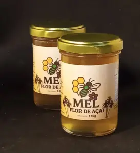 Mel do Açaí