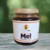 Pote Mel Silvestre Multifloral 240g