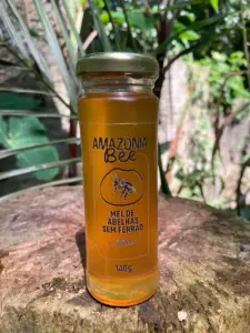 Mel Amazônia Bee - Melipona seminigra - 140g