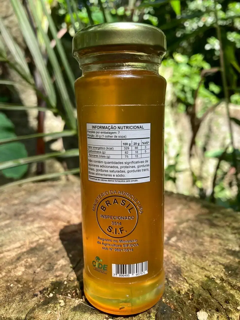 Mel Amazônia Bee - Melipona seminigra - 140g