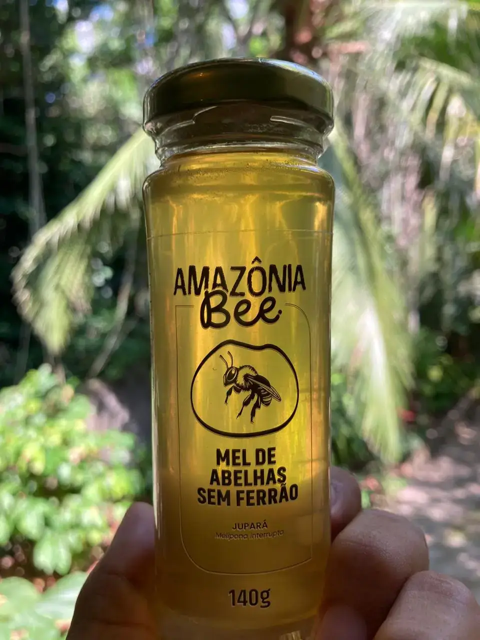 Mel Amazônia Bee - Melipona seminigra - 140g