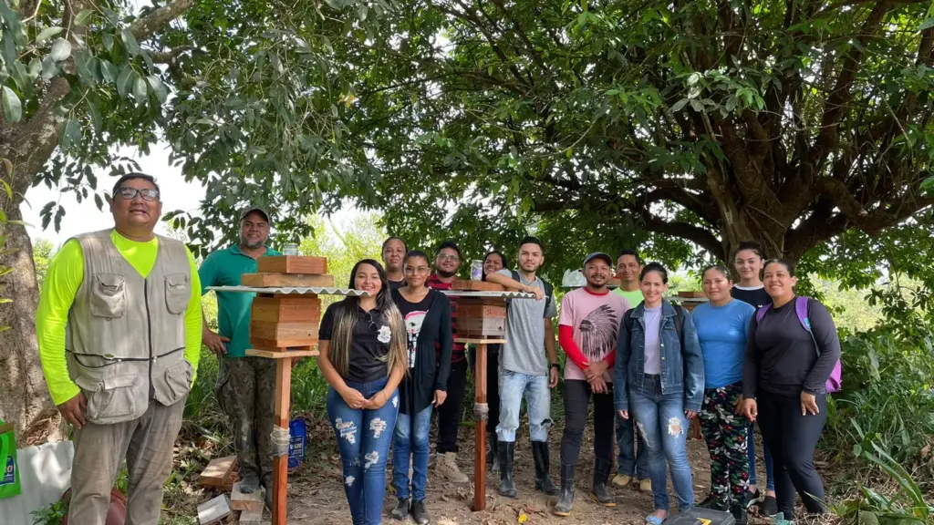 1º meliponário implantado pelo Curso de Engenharia Agronômica da UEAP Campus Território dos Lagos durante curso de meliponicultura no I SEAGRO. Foto: Ercemi Mira
