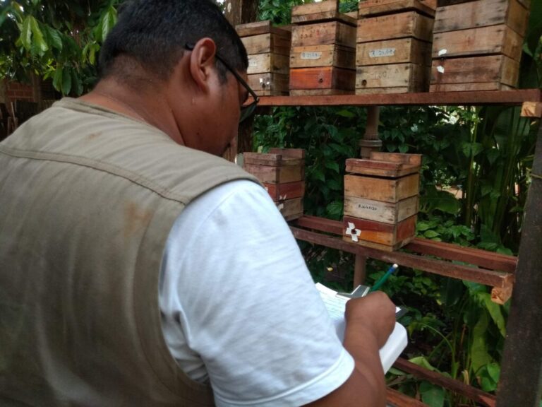 Richardson Frazao com caixas de colmeia