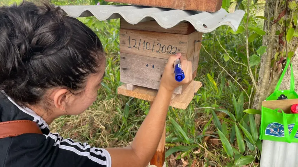 Acadêmica de Engenharia Agronômica Livian Castro datando a instalação do meliponário UEAP-CTL em 12/10/2022 no município de Amapá, Amapá, Brasil