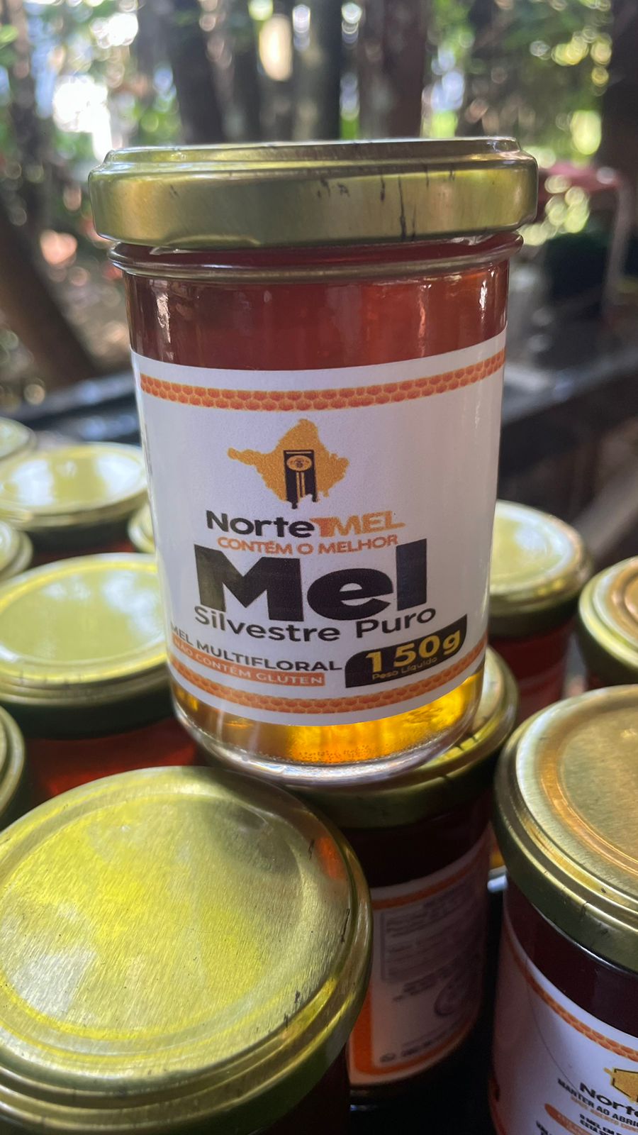 Mel Silvestre Multifloral 150g pote de vidro