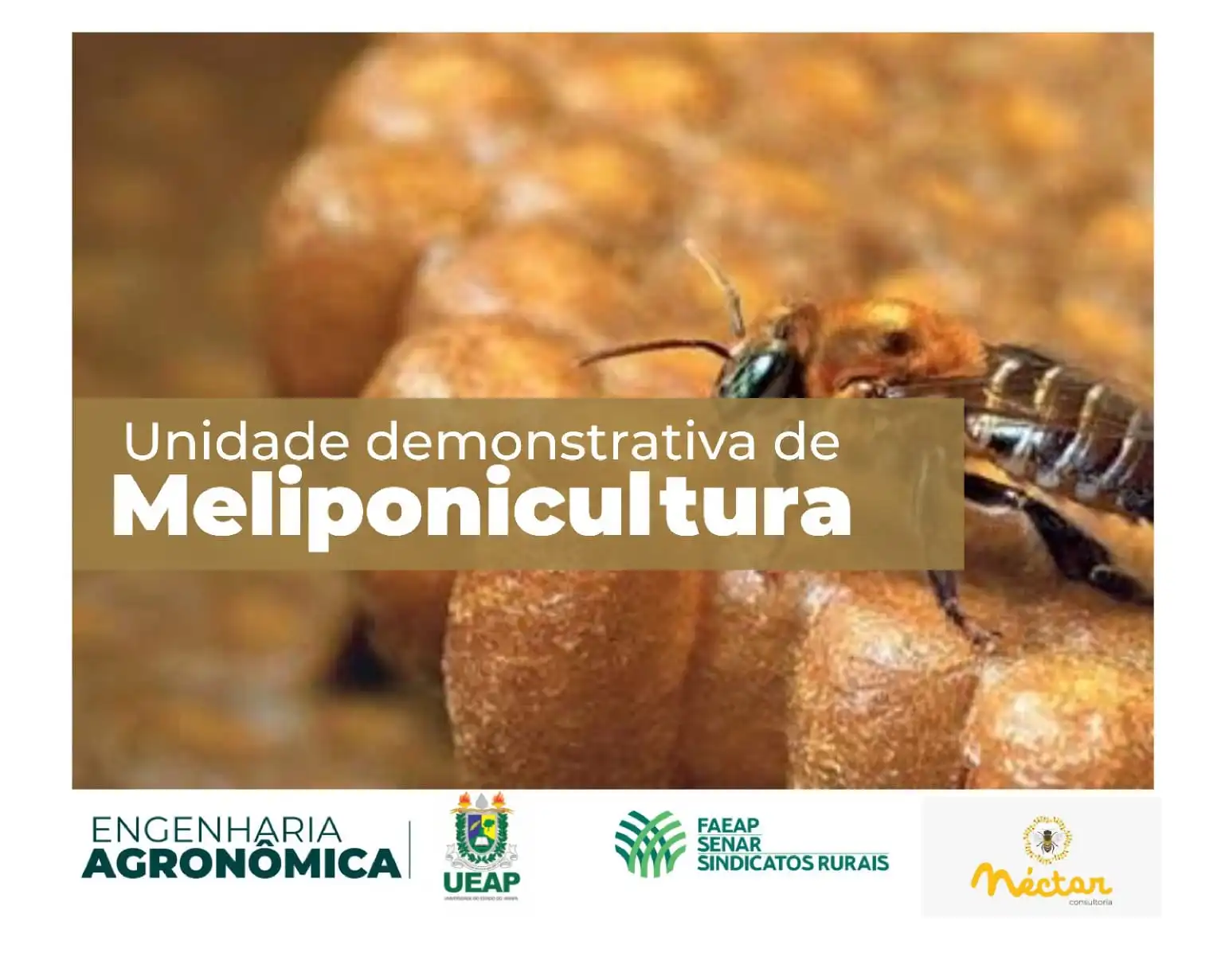 Banner Unidade Demonstrativa de Meliponicultura