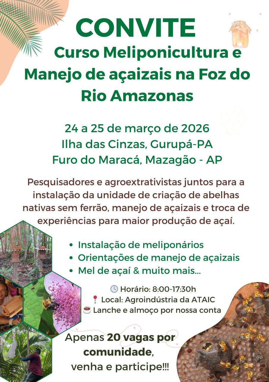 Curso Meliponicultura e Manejo de açaizais na Foz do Rio Amazonas