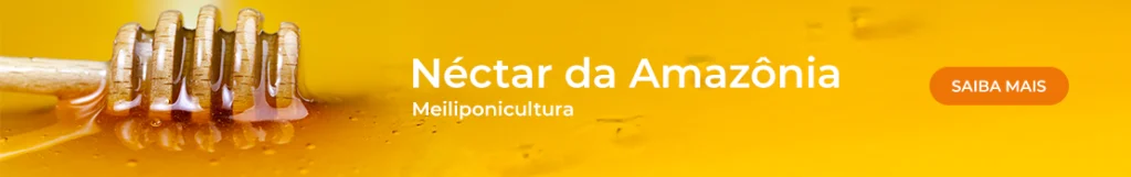 Nectar da Amazonia - Meiliponicultura